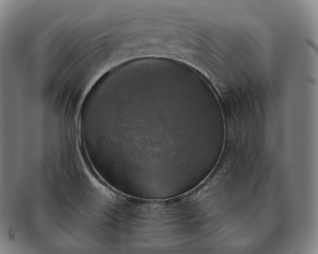 X0000091291515200708241017