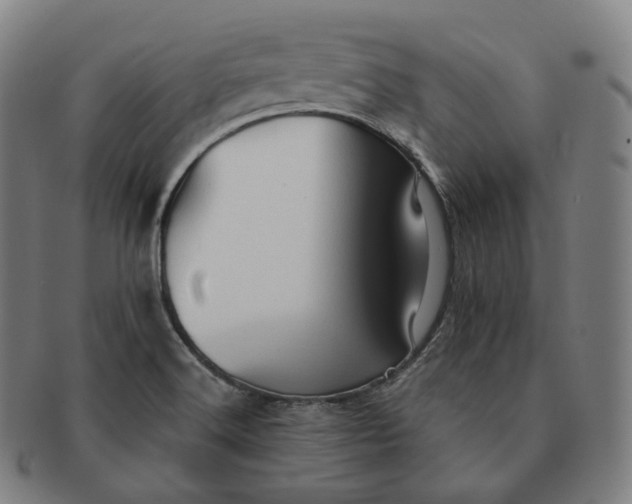 X0000091291516200708241017