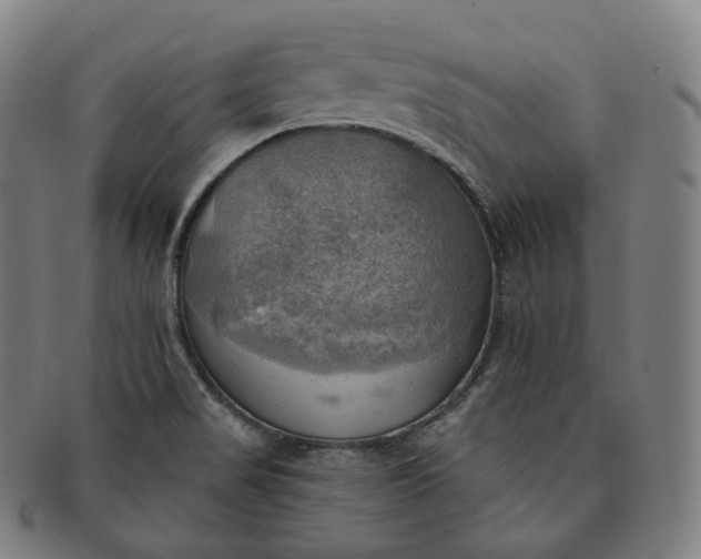 X0000091291517200708241017