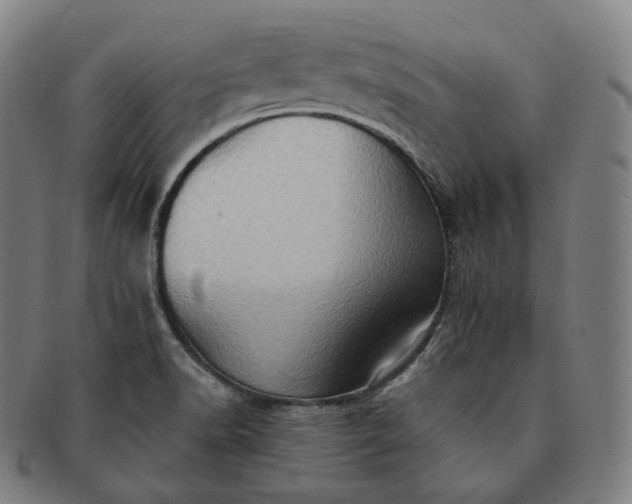 X0000091291518200708241017