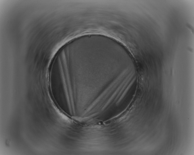 X0000091291519200708241017