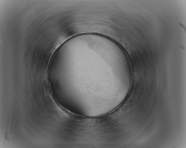 X0000091291521200708241017