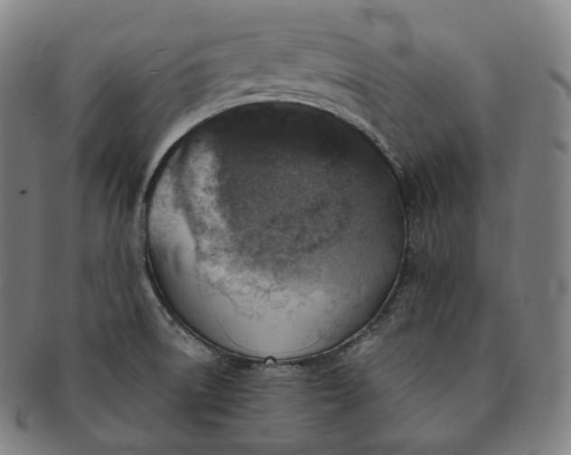 X0000091291522200708241017