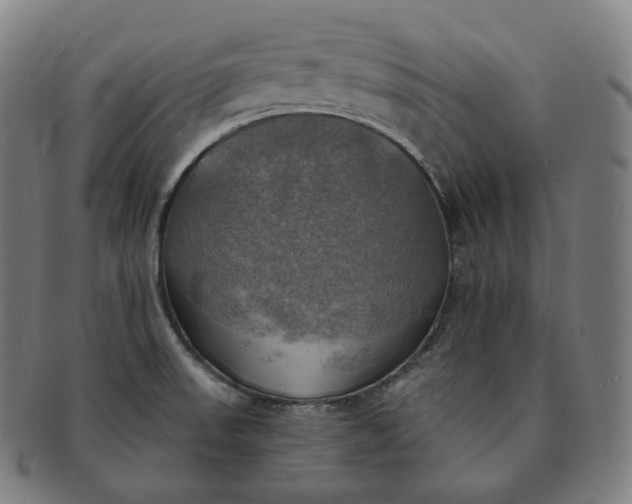 X0000091291523200708241017