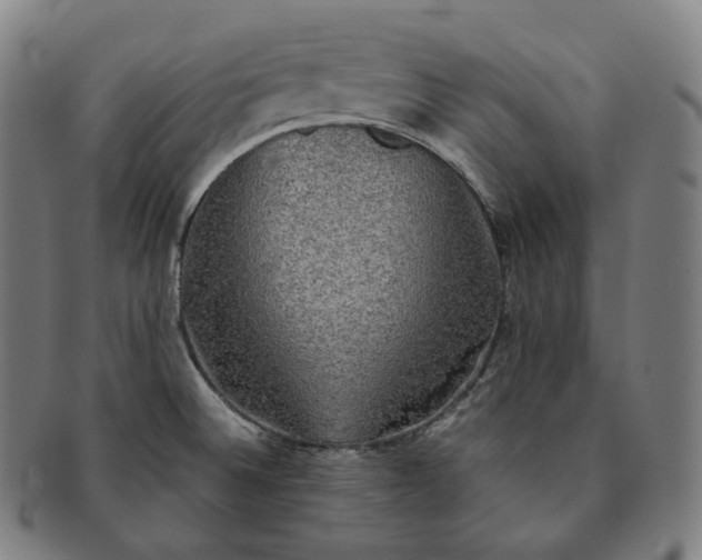 X0000091291524200708241017