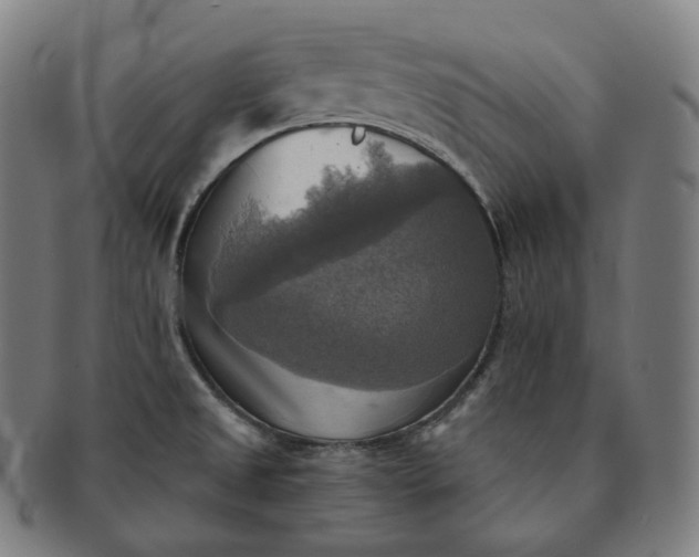 X0000091291525200708241017