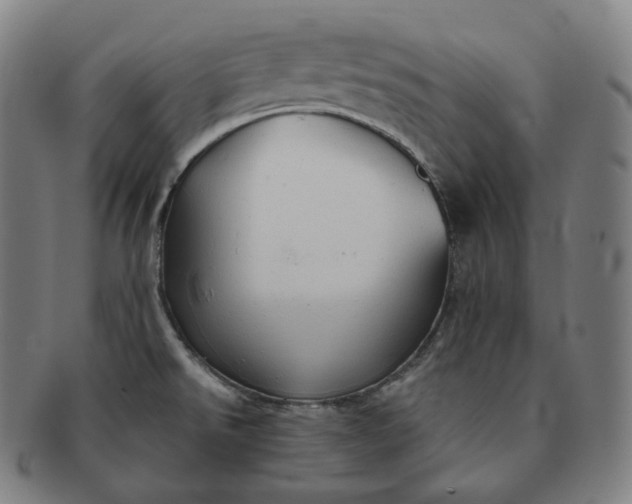 X0000091291526200708241017