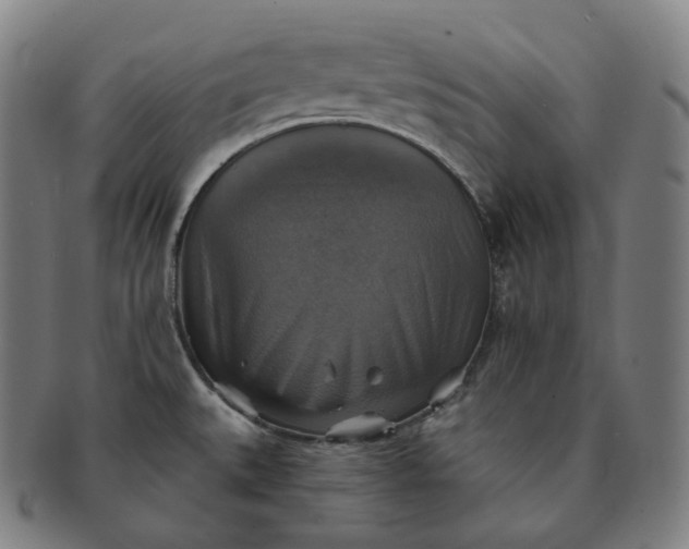 X0000091291527200708241017