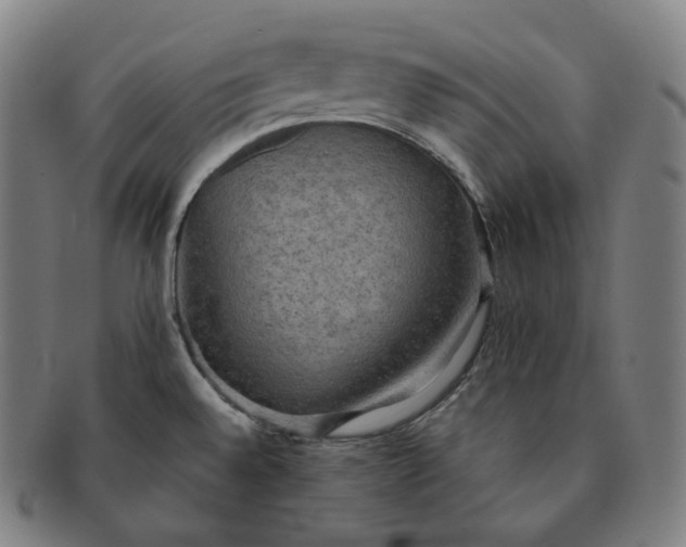 X0000091291528200708241017