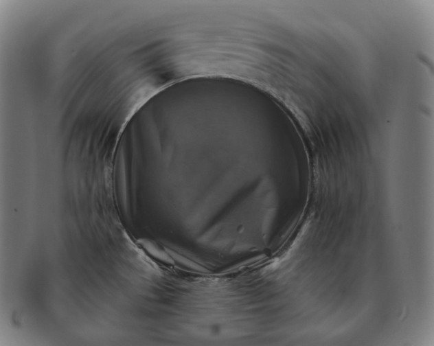 X0000091291529200708241017