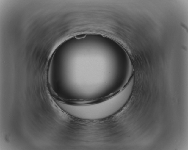 X0000091291530200708241017