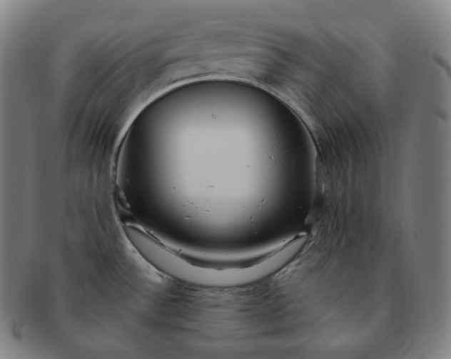 X0000091291532200708241018