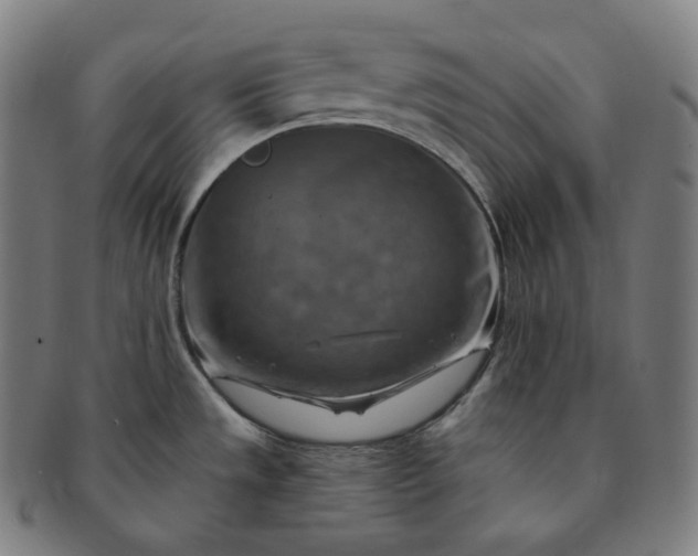 X0000091291533200708241018