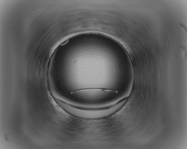 X0000091291534200708241018