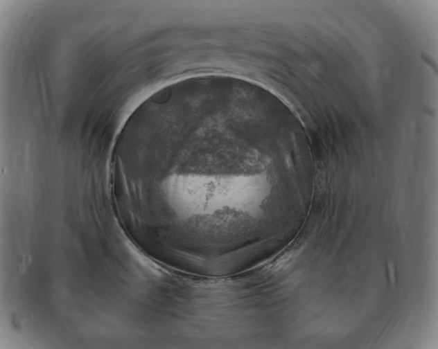 X0000091291535200708241018