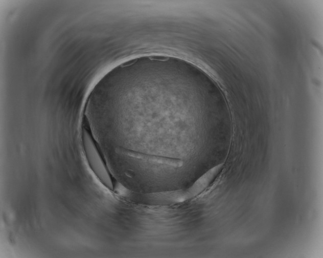 X0000091291536200708241018