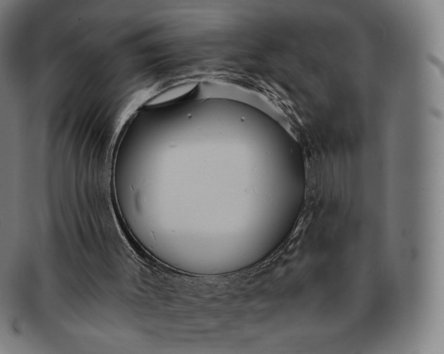 X0000091290003200708311326