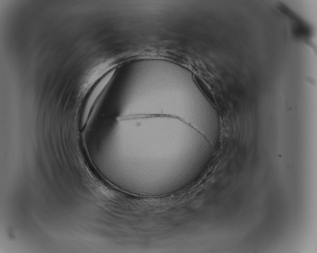 X0000091290005200708311326