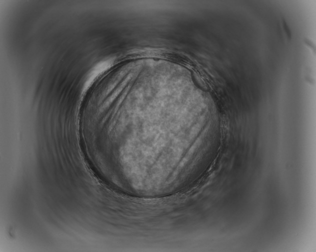 X0000091290006200708311326