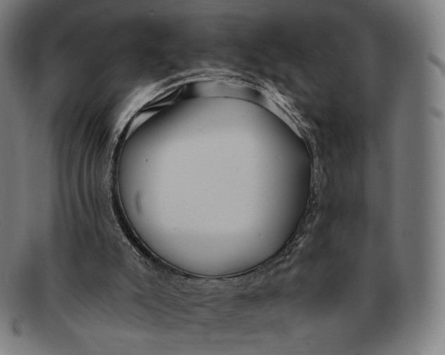 X0000091290007200708311326