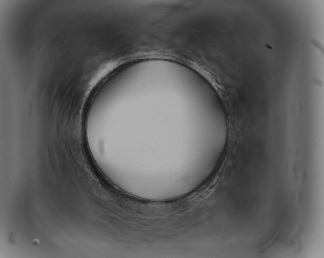 X0000091290008200708311326