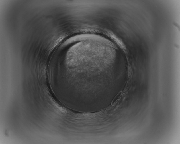 X0000091290009200708311326