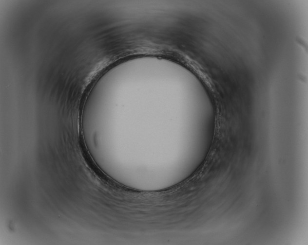 X0000091290011200708311326