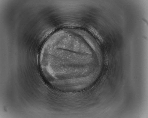 X0000091290014200708311326