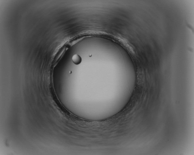 X0000091290015200708311326