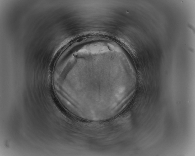 X0000091290016200708311326