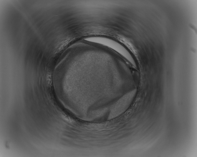 X0000091290017200708311326