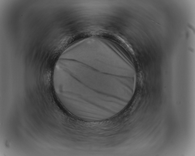 X0000091290018200708311326