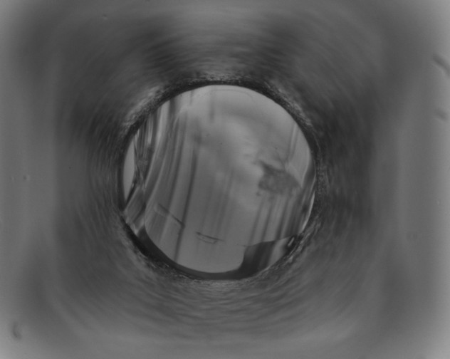 X0000091290019200708311326