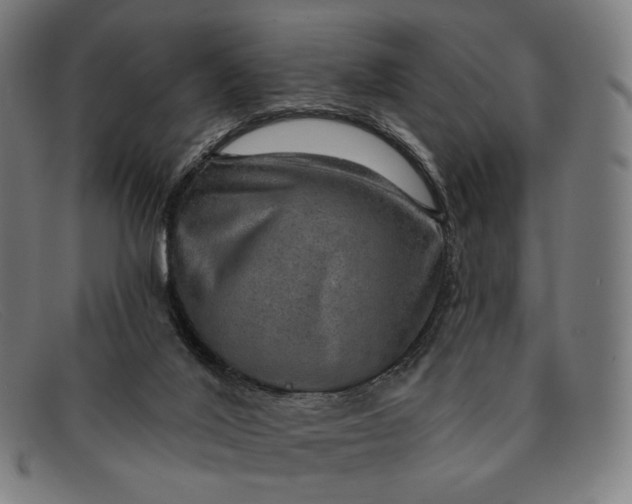 X0000091290020200708311326