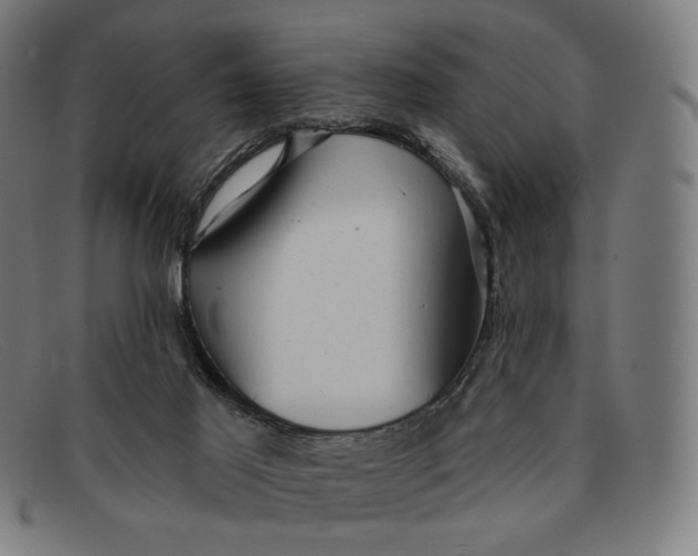 X0000091290021200708311326