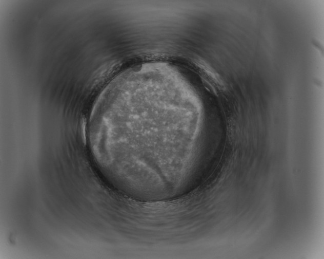 X0000091290022200708311326