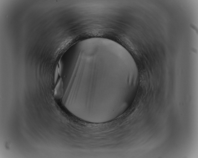 X0000091290023200708311326