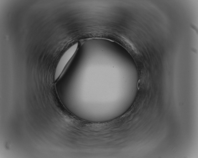 X0000091290025200708311326