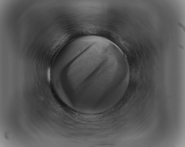 X0000091290027200708311326