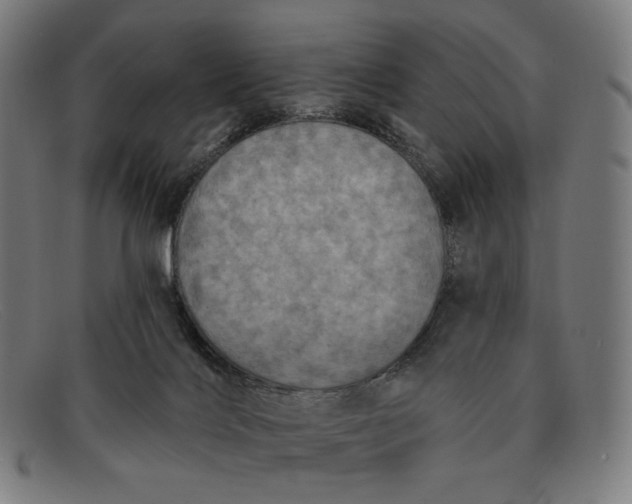 X0000091290028200708311326