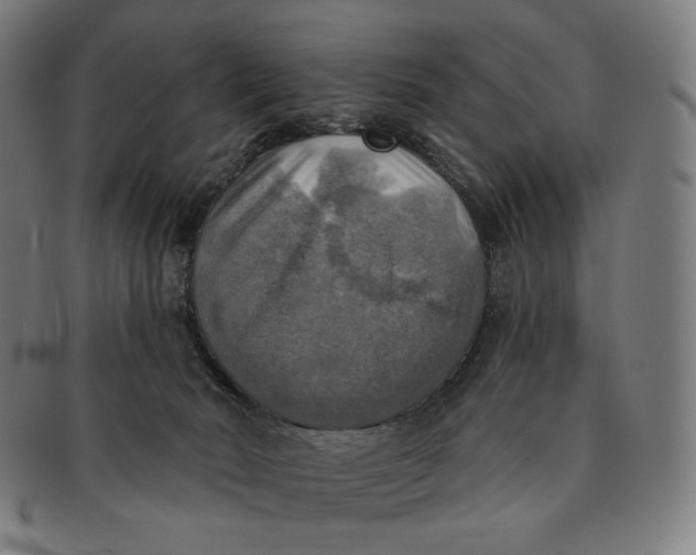 X0000091290030200708311326