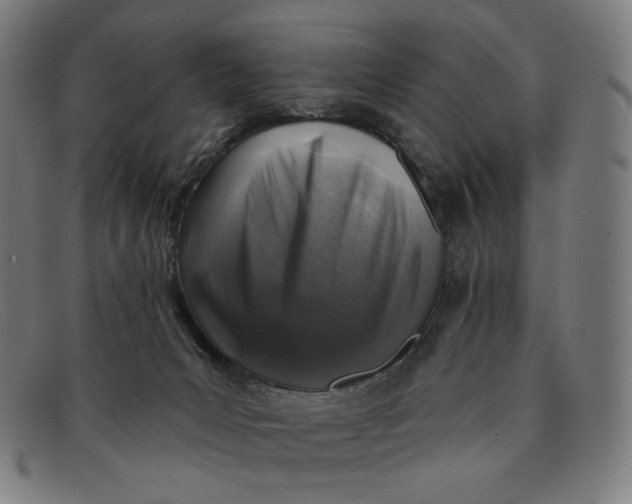 X0000091290031200708311326