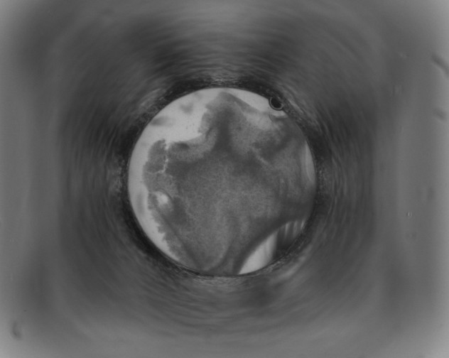 X0000091290032200708311326