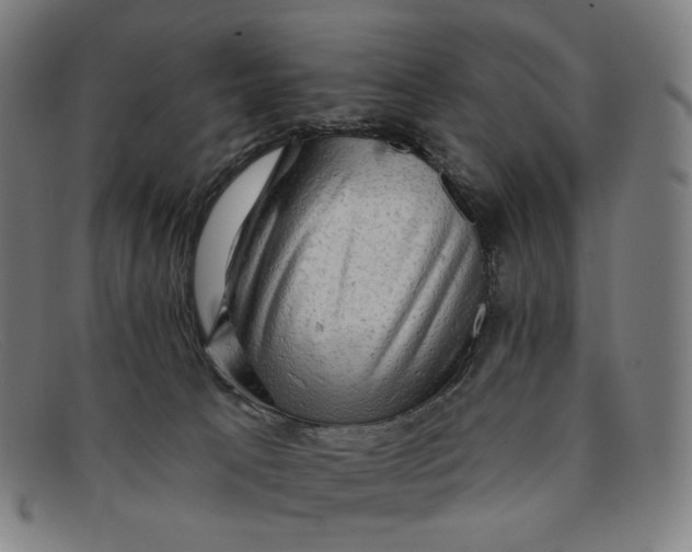 X0000091290033200708311326