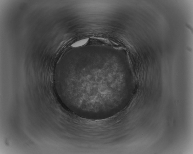 X0000091290035200708311326