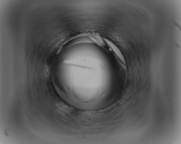 X0000091290037200708311326