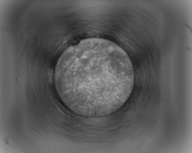 X0000091290038200708311326