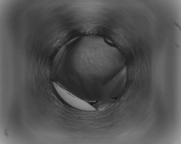 X0000091290039200708311326