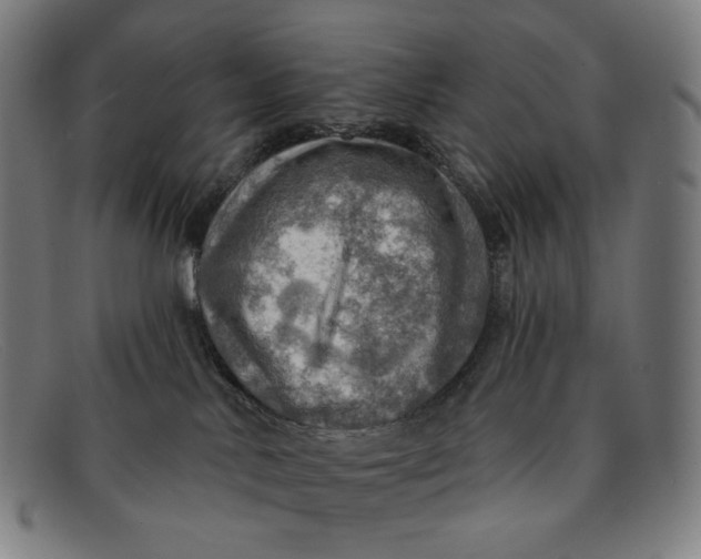 X0000091290042200708311326