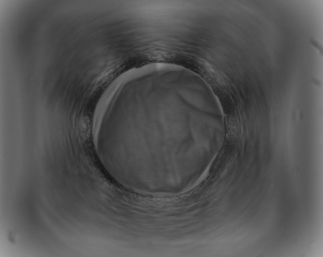 X0000091290043200708311326